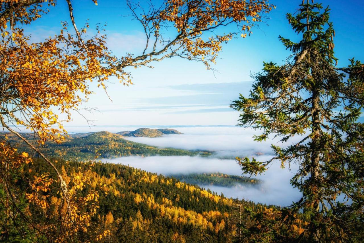 Break Sokos Hotel Koli Kolinkylä Eksteriør bilde