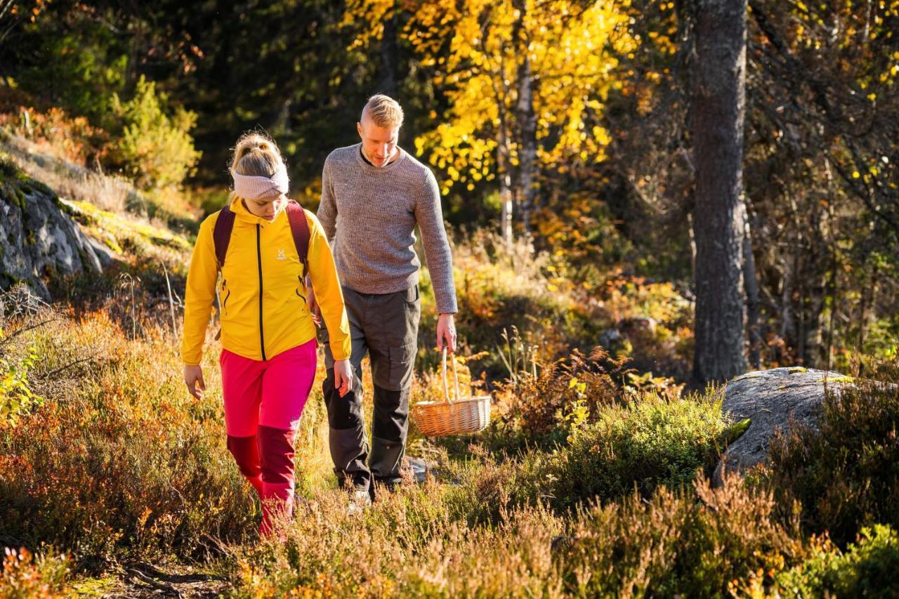 Break Sokos Hotel Koli Kolinkylä Eksteriør bilde
